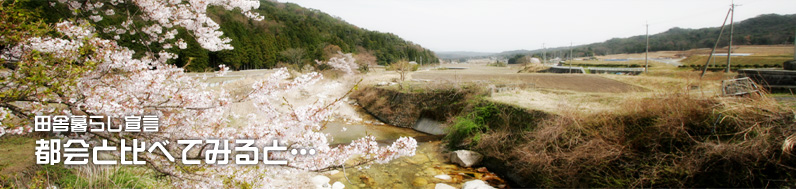 cɕ炵錾@sƔׂĂ݂ƁEEE