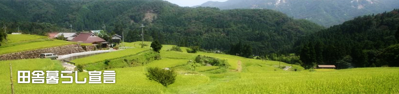 �c�ɕ�炵�錾